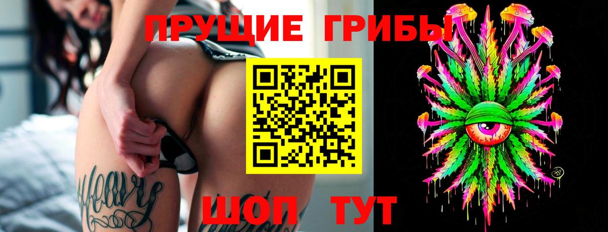 Галлюциногенные грибы Psilocybe  Вход с VPN  наркошоп  Санкт-Петербург  Псилоцибиновые грибы Psilocybe 